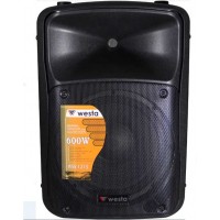 WSS-1000 Westa 10 inç 25cm 2 Yollu Max. 450 Watt Pasif Kabin Hoparlör
